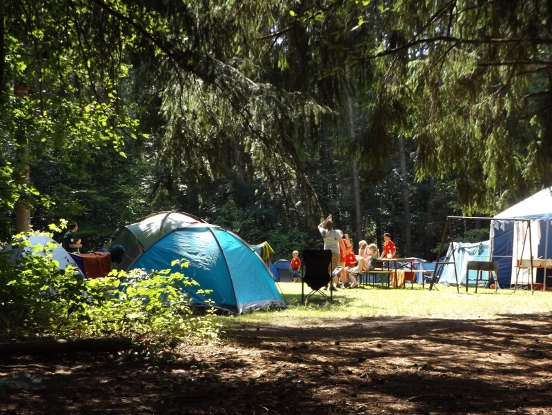 camping-LA GARDE FREINET-min_nature-forest-outdoor-wilderness-group-adventure-1052435-pxhere.com